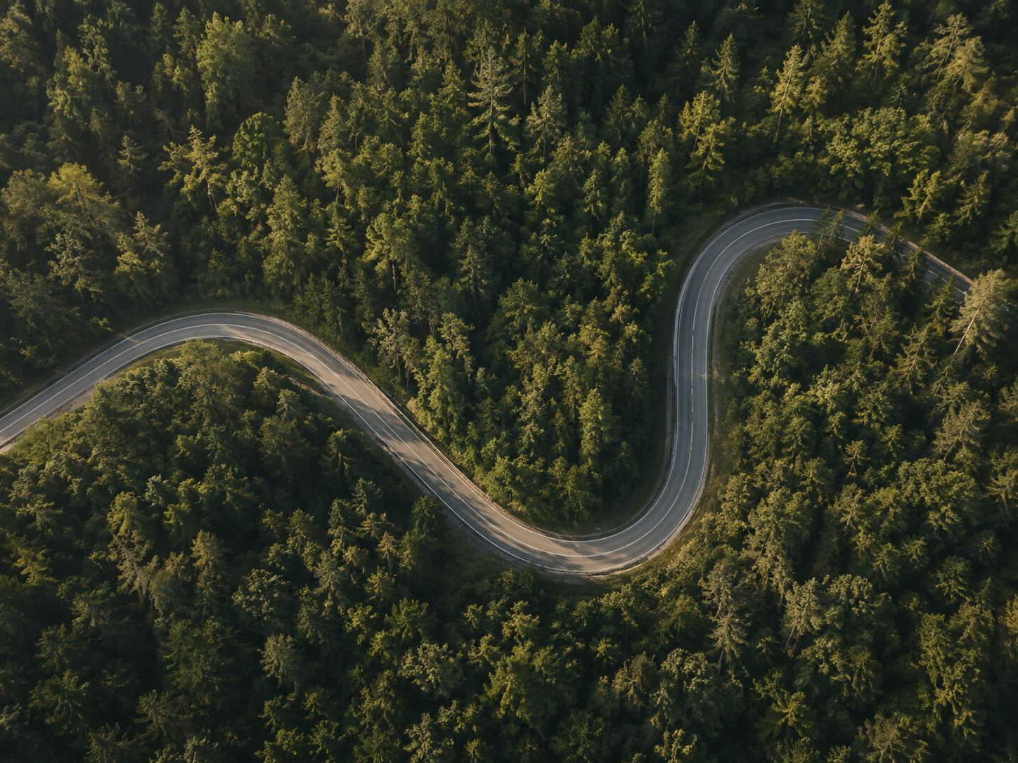 An aerial view of a winding road through dense forest